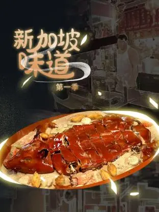 《新加坡味道》：舌尖上的新加坡！美食、文化与人情味的完美交融，治愈你的味蕾和心灵